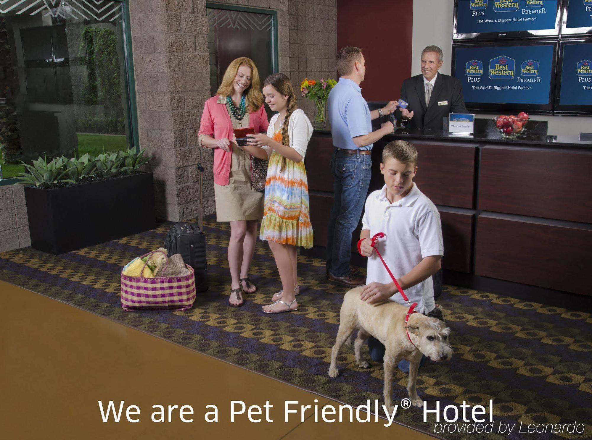 Surestay Plus Hotel By Best Western Mountain View Εξωτερικό φωτογραφία